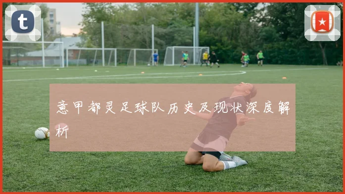 意甲都灵足球队历史及现状深度解析